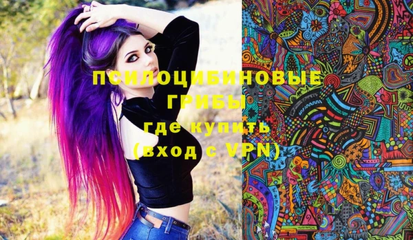 дживик Ачинск