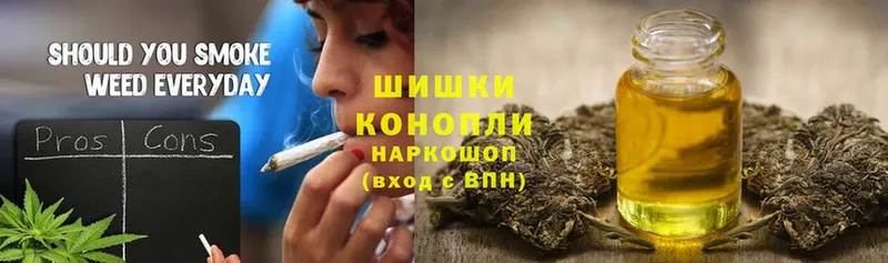 Канабис OG Kush  Западная Двина 