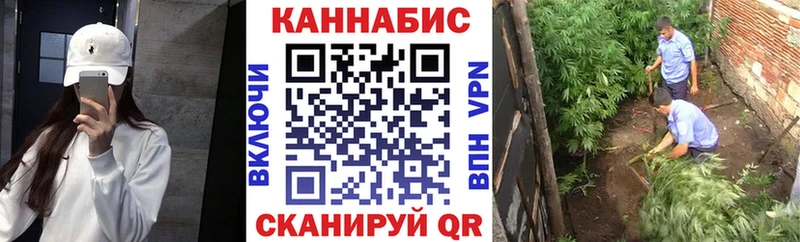 Марихуана семена  Западная Двина 